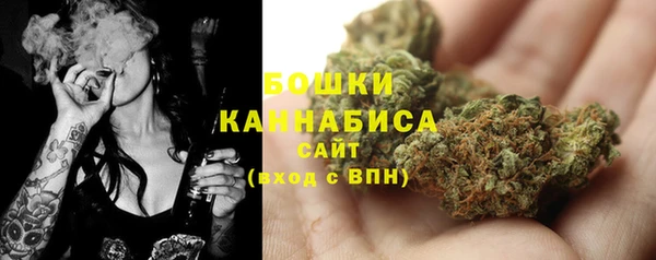 хмурый Пересвет