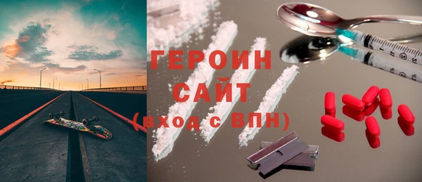 хмурый Пересвет