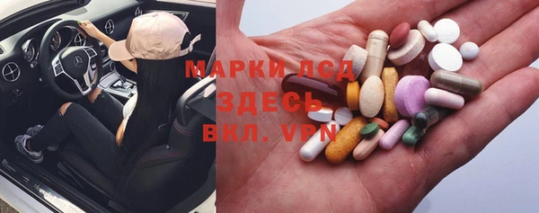 хмурый Пересвет