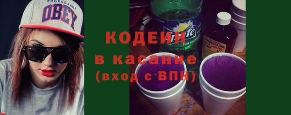 хмурый Пересвет