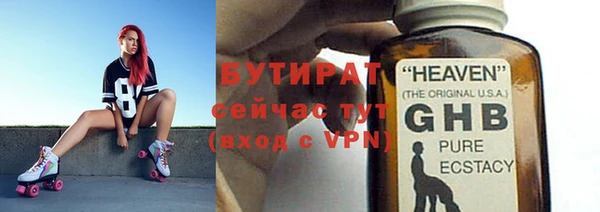 хмурый Пересвет