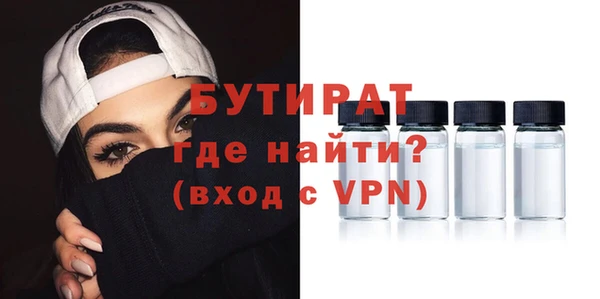 хмурый Пересвет