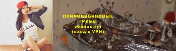бутират Пестово