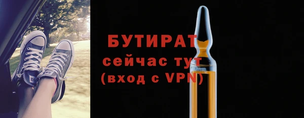 хмурый Пересвет