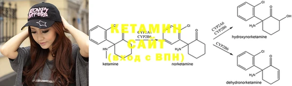 хмурый Пересвет