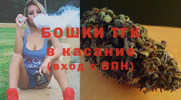 гашик Переславль-Залесский