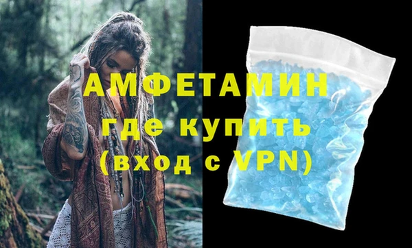 хмурый Пересвет