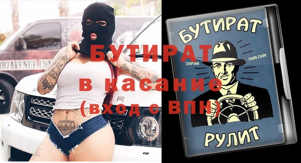 хмурый Пересвет