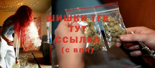 хмурый Пересвет